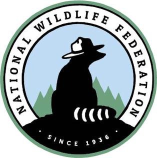 NWF EcoLeaders Platform Strategy & Behavioral Analytics Cover